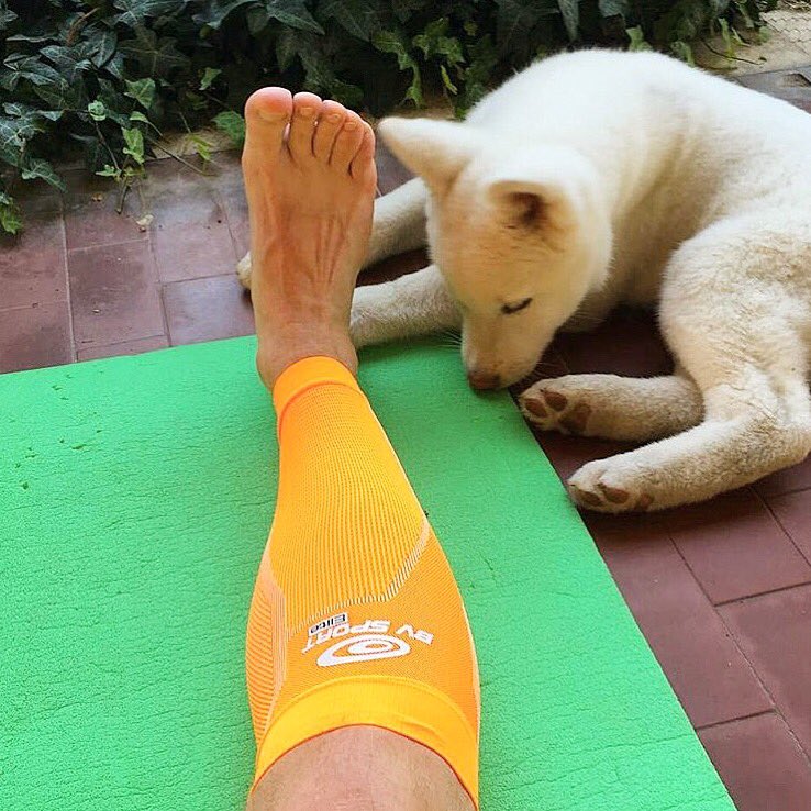 Bvsport_es's tweet photo. Y que no falte 😍🐕 tu mejor compañía en tus momentos #BoosterElite 👈🏻 https://t.co/B47x1mAj9o