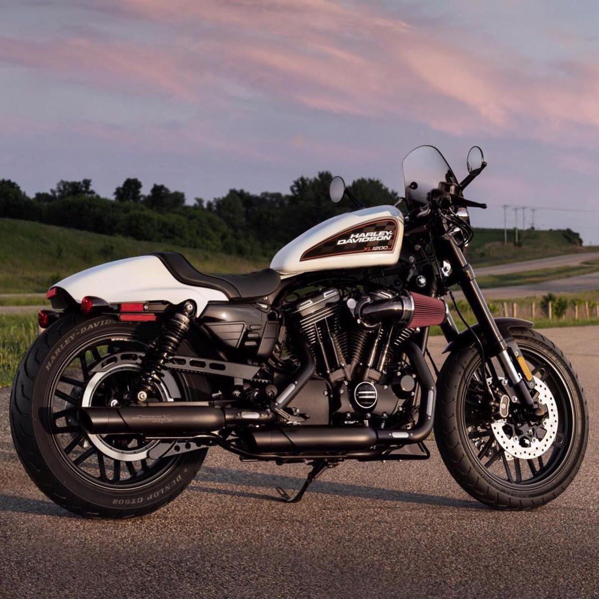 AnakElangHarley's tweet photo. Custom 2019 #HDRoadster.
#FindYourFreedom #FreedomMachine #HarleyDavidson https://t.co/neJHL6xS6J