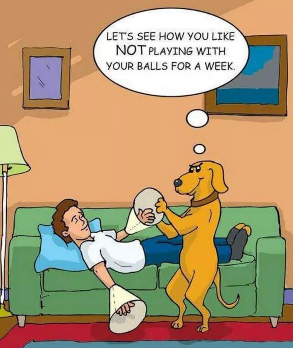 DarloLoopyLou's tweet photo. We all need something to make us giggle amongst all the bad stuff 😔

Hope this gives you just that 🤭
#thursdayvibes #ThursdayMorningAction - or not 😂 https://t.co/q2FjL9zsOj