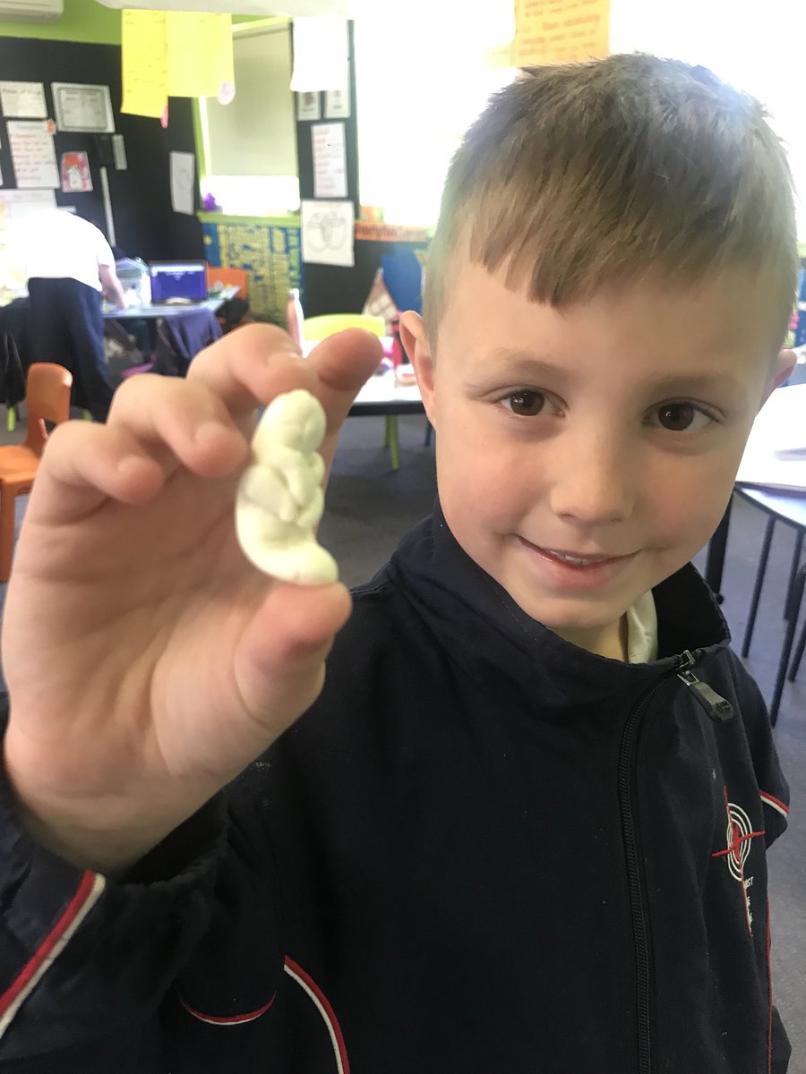 year2bethany's tweet photo. A sculpture of a mealworm larvae made from play dough after observations.  Awesome detail of this life stage before metamorphosis into a darkling beetle https://t.co/JxJCyr6AcS