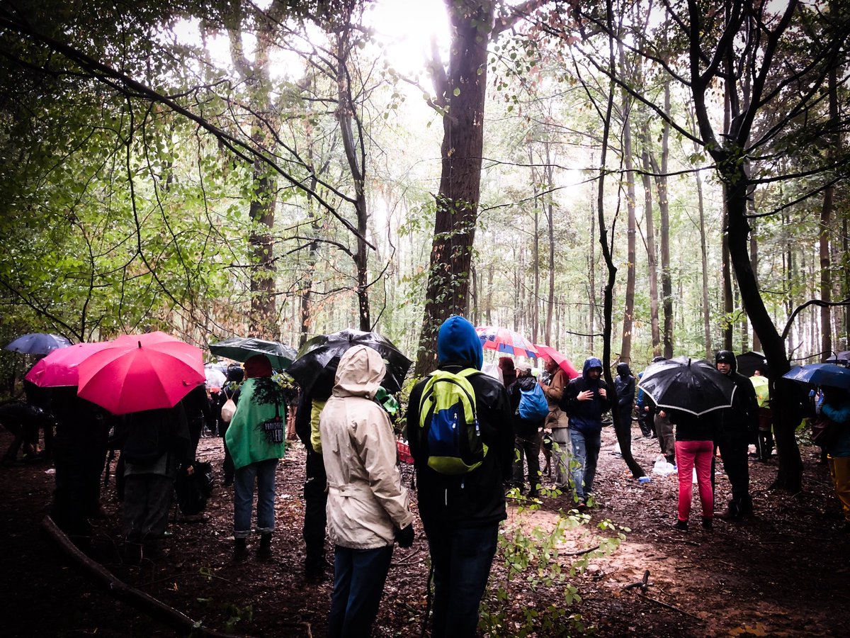 csommer's tweet image. Guten Morgen #KK2018 Euer Thema ist „Mut“ Im #HambacherForst sind ganz viele mutige Menschen. Unterstützt sie! Fordert @ArminLaschet und die @RWE_AG auf den Konflikt politisch zu lösen 🌳