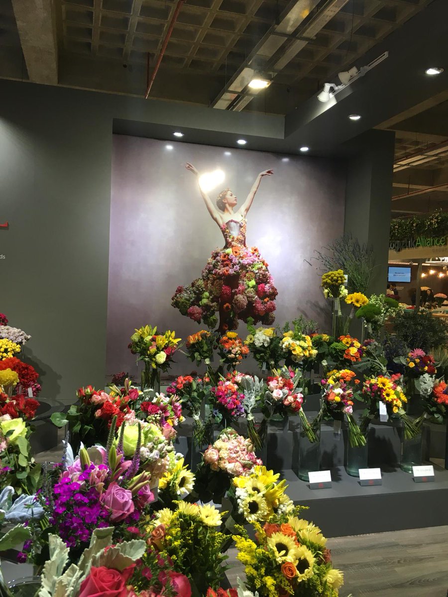 MyplantGarden's tweet photo. 🔄 Tappa oltreoceano per #Myplant: il progetto di promozione #internazionale di Myplant e del sistema orto-florovivaistico italiano è atterrato a Quito, Ecuador, alla #ExpoFlor 2018 - #sinergia #export #floricoltura #florovivaismo #business #fiera #reciso #déco https://t.co/WJ3sBtjThL