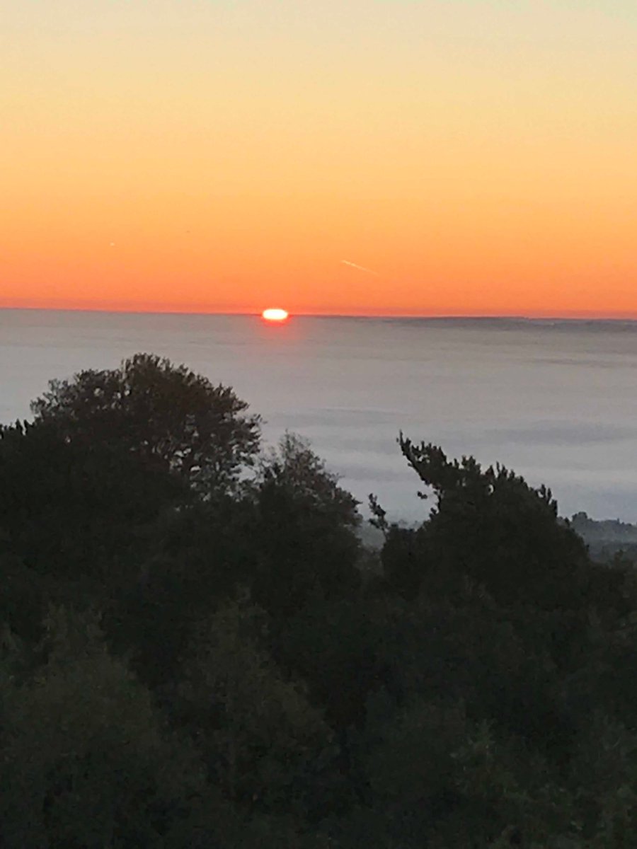 Crane_Spotter's tweet photo. Rise and shine! ⁦@SaveLeithHill⁩ https://t.co/pPd9GmDJoN