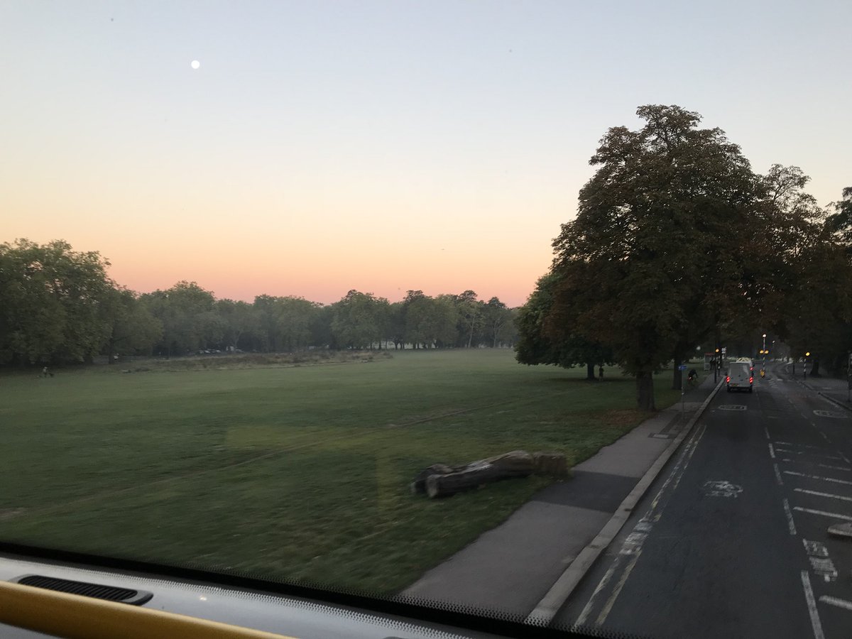 DanielHugill's tweet photo. Beautiful mist hanging over @PeckhamRyePark. #viewfromthetopdeck https://t.co/QYpWNk48Xq