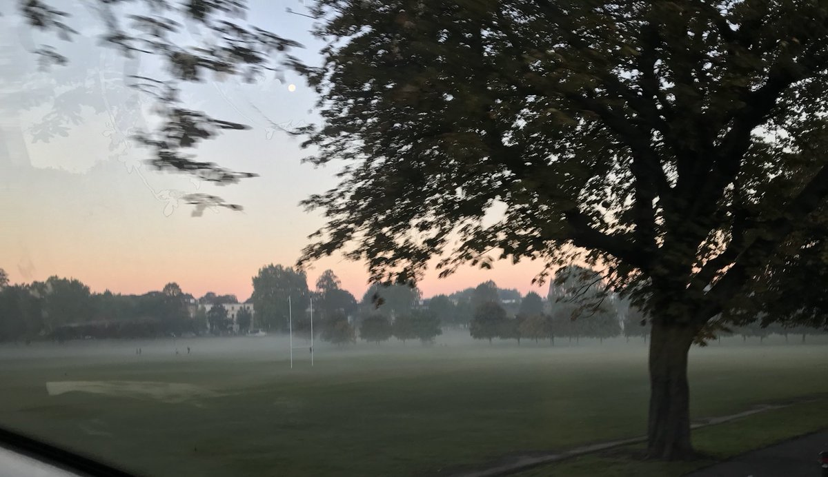 DanielHugill's tweet photo. Beautiful mist hanging over @PeckhamRyePark. #viewfromthetopdeck https://t.co/QYpWNk48Xq