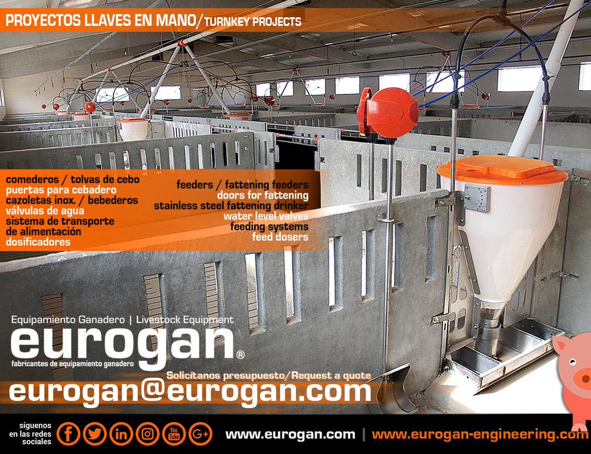 ✅eurogan.com|https://t.co/Bd3qsTuvIA
👉EUROGAN S.L. PROYECTOS #LLAVESENMANO DE NAVES #AVÍCOLAS Y/O DE #PORCINO. Ofrecemos soluciones completas dentro de la #industria e #ingeniería #ganadera
#equipamientoGanadero #ganaderia #livestockEquipment #porcine