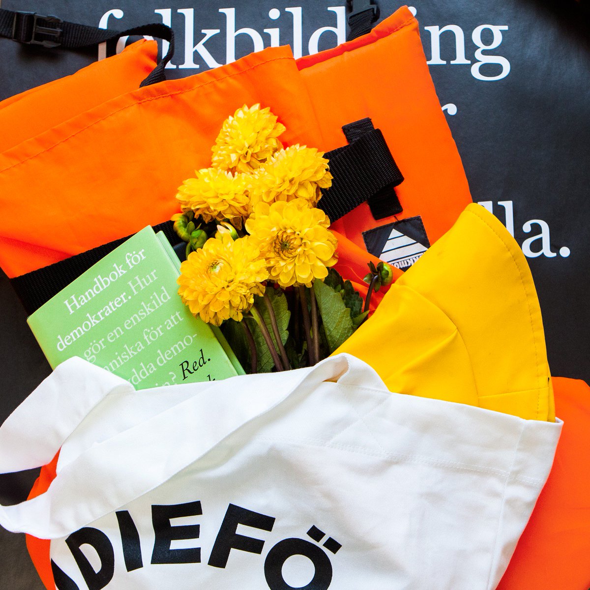 Debatt: Hur bekymrade bör vi vara över #demokratin i Sverige? I ny Novusundersökning tror majoriteten (57%) att det finns risk att antidemokratiska partier sitter i Sveriges regering 2030. Låt oss ändra på det: dagenssamhalle.se/debatt/folkbil… #folkbildning #studieförbunden