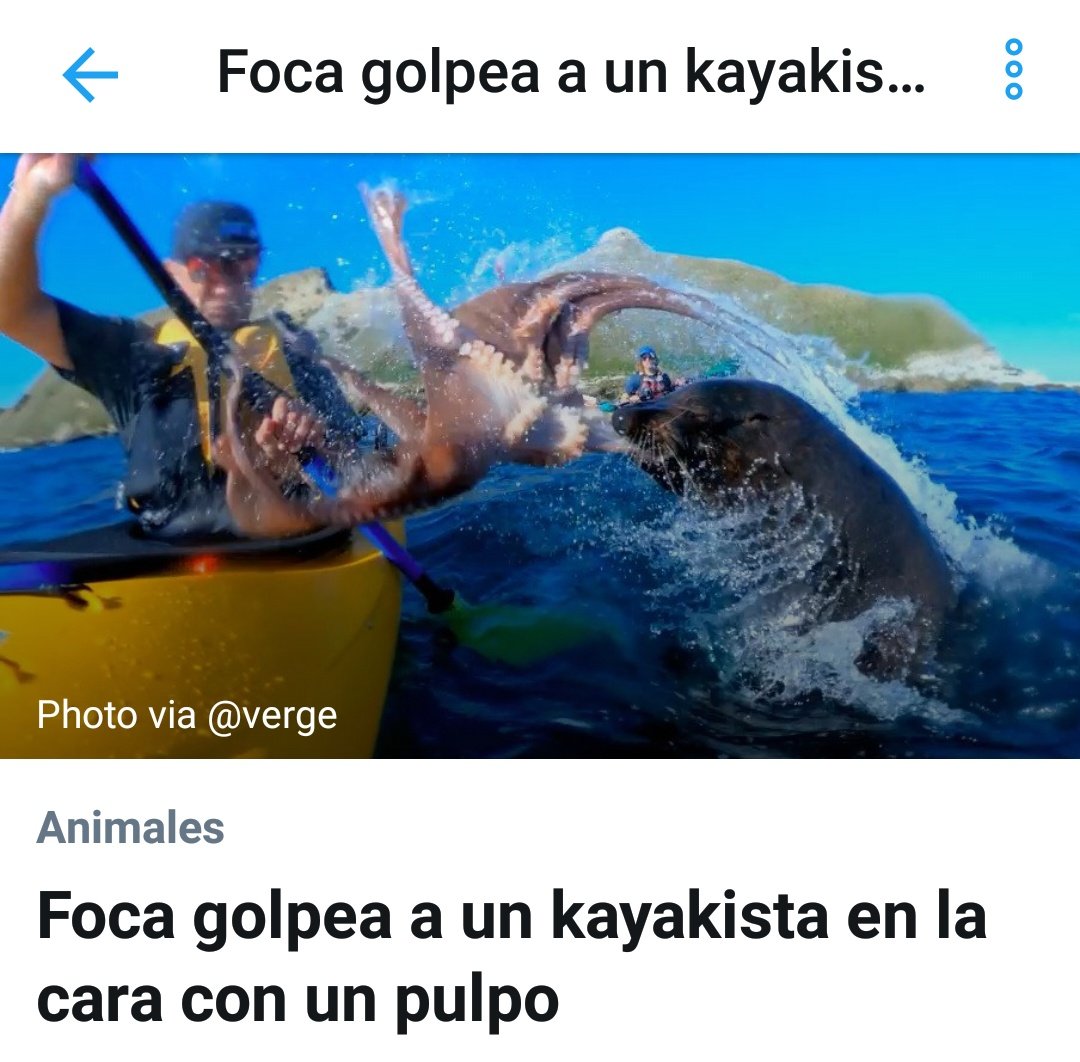 SeFi 🎄 tweet media