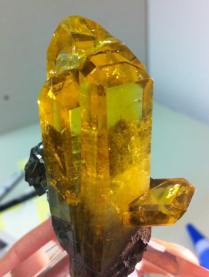 CristalSources's tweet photo. L'une des plus belles anglésite trouvée dans le monde ! 😍
(photo glanée sur le net)
https://t.co/DJYFYjdhD2
🏠 3 rue vallon 74200 Thonon les bains
#cristalsources #mineral #minéraux #lithotherapie #cristal #cristaux #crystal #anglesite https://t.co/JXYN2AjKBK