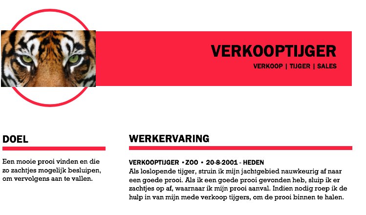 Ik kwam een vacature van Verkooptijger tegen. Ik vond ook een mooi passend CV. Wat denk jij, een goede match? #wiezoekjenu