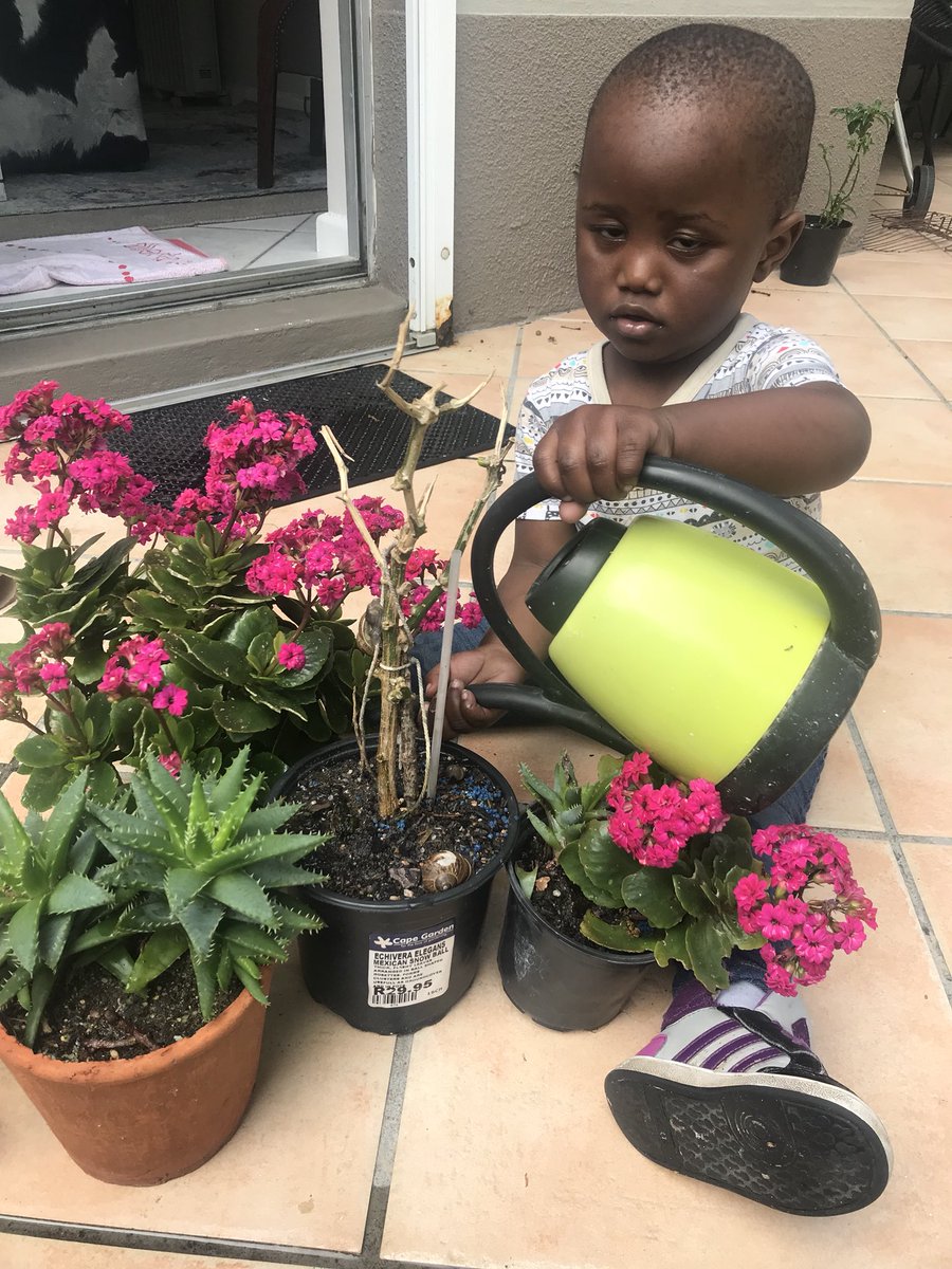 InkaJaroszynski's tweet photo. When your passport gets stolen in South Africa. LEARN a new skill #beekeeping🐝🐝 and TEACH new skills #southafrica #proudlysouthafrican 🇿🇦🇿🇦 https://t.co/KgVGVmG1DM