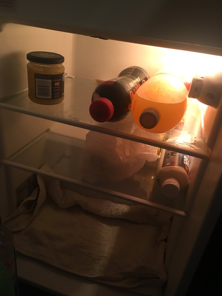 bee_macfee's tweet photo. @YAZOODrinks #savemyfridge https://t.co/OFFG20QY8R
