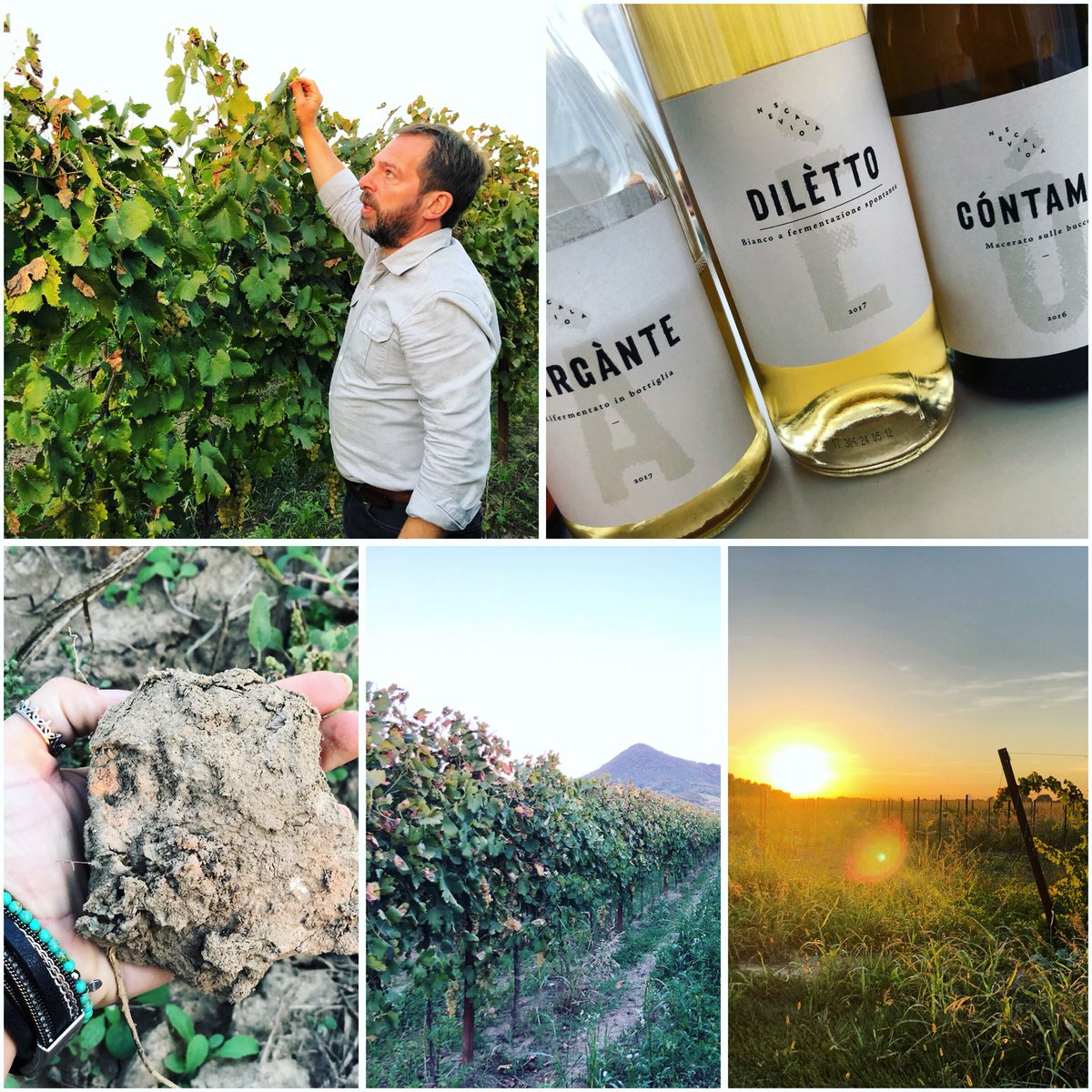 Agricoltura, ambiente e amore. Visita unica ed emozionante. L’azienda Nevio Scala regala interpretazioni di Garganega autentiche con una devozione e sensibilità tutta green.
#ecofriendly #nevioscala #winelover #addict #wine #vinoitaliano #collieuganei #vinos #winefair #vineyard