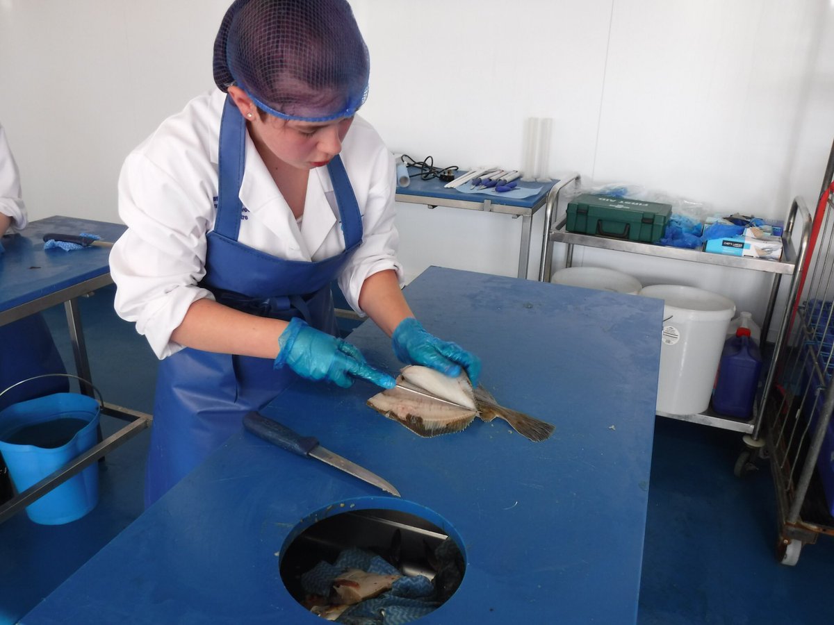 shesailsfurther's tweet photo. From sea to plate, @mbrocollege @Richychef ended their busy study trip with a practical session preparing some delicious dishes with @RobGreenchef. I’m still buzzing from such an enjoyable day sharing our knowledge.
#skills #education #seafood @grimsbyseafood https://t.co/SOJ9JTux4s