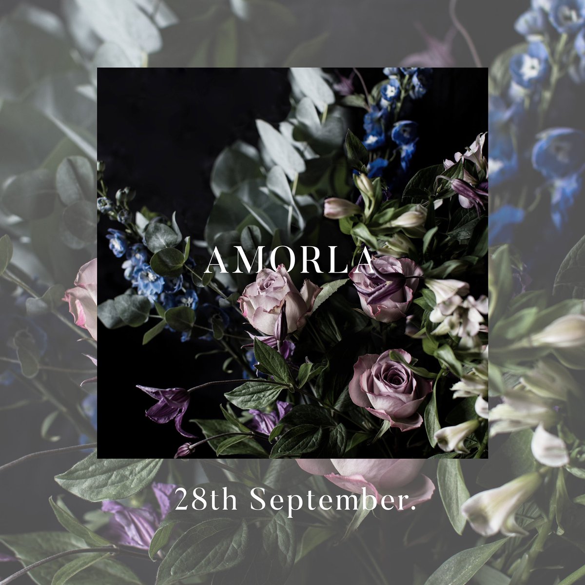PROVOKERUK's tweet photo. @amorlauk release tomorrow! https://t.co/C8PSQMw1Ga