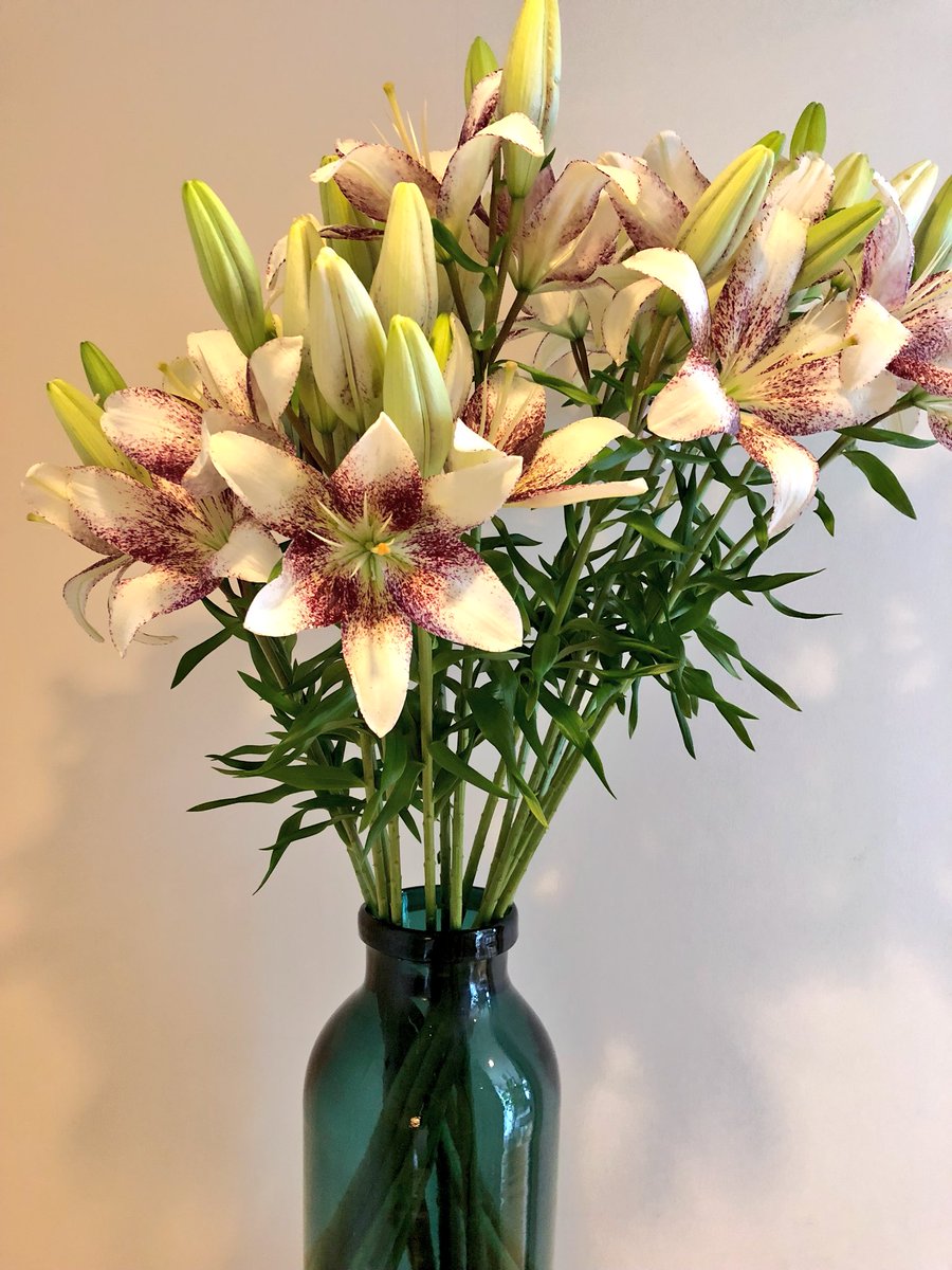 安野モヨコ 今週のお花 百合の葉と花瓶が同じ色 モヨコ