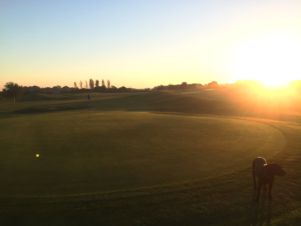 George Grimes tweet media