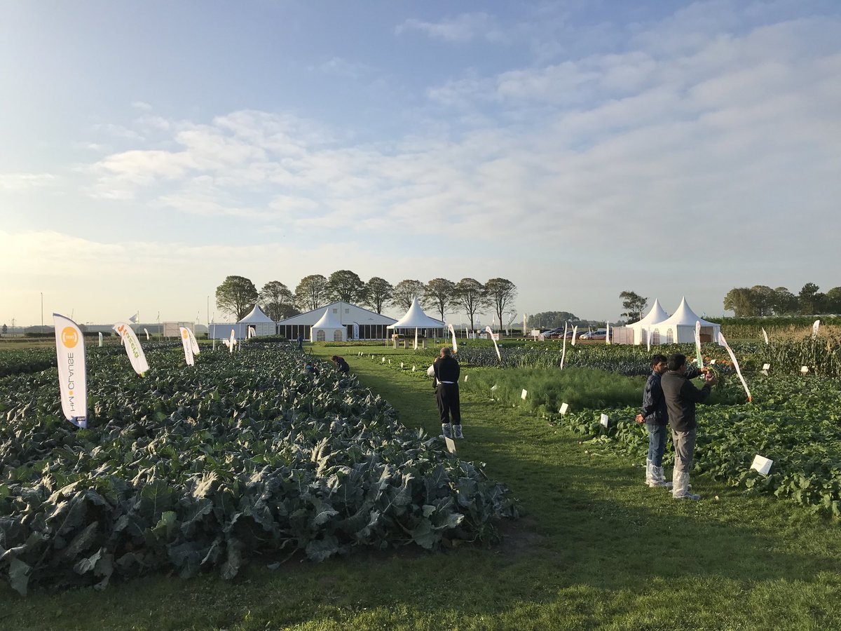 luciengaboriau's tweet photo. Dernier jour des « open days » aux Pays bas. La présentation produits et la présence de collègue et client du monde entier en fait un riche moment! 
#opendays #clause #hmclause #variétés https://t.co/3b94IVrILq