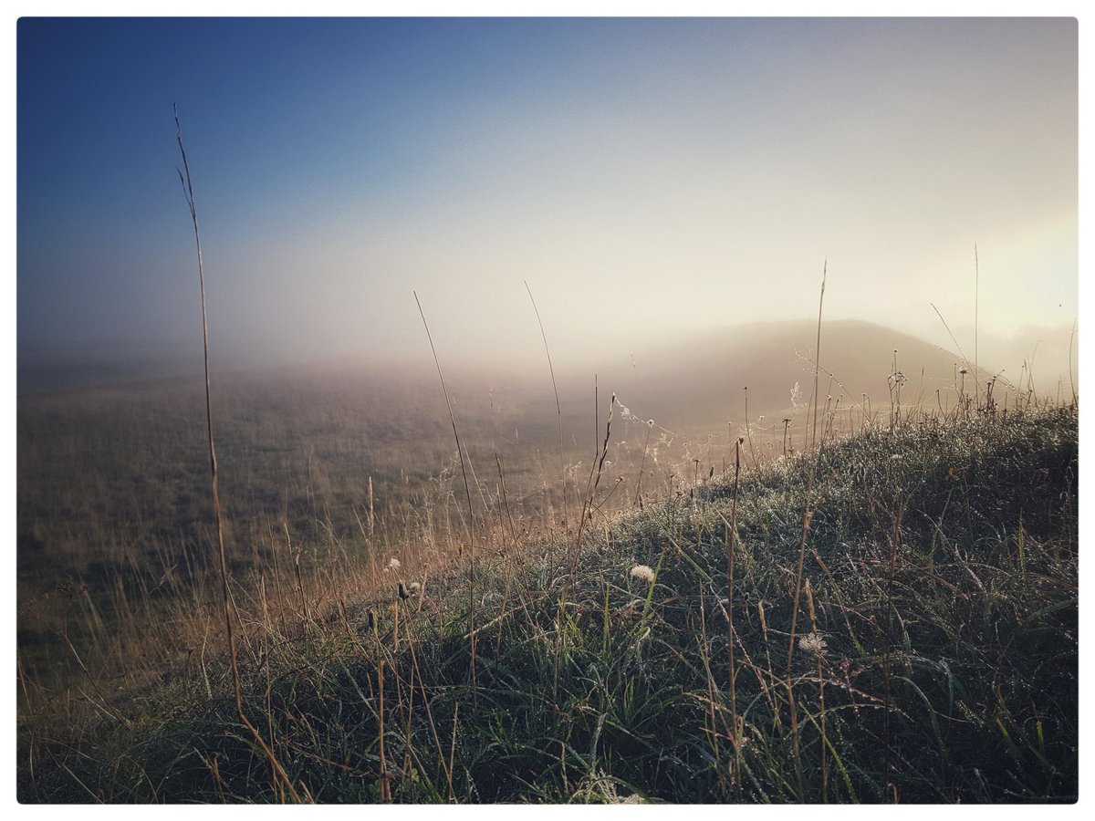 An early start on Figsbury Ring setting me up for the day. Magic. <a href="/WiltsRangersNT/">National Trust Wiltshire Landscape Rangers</a> <a href="/NTSouthWest/">National Trust South West</a>
