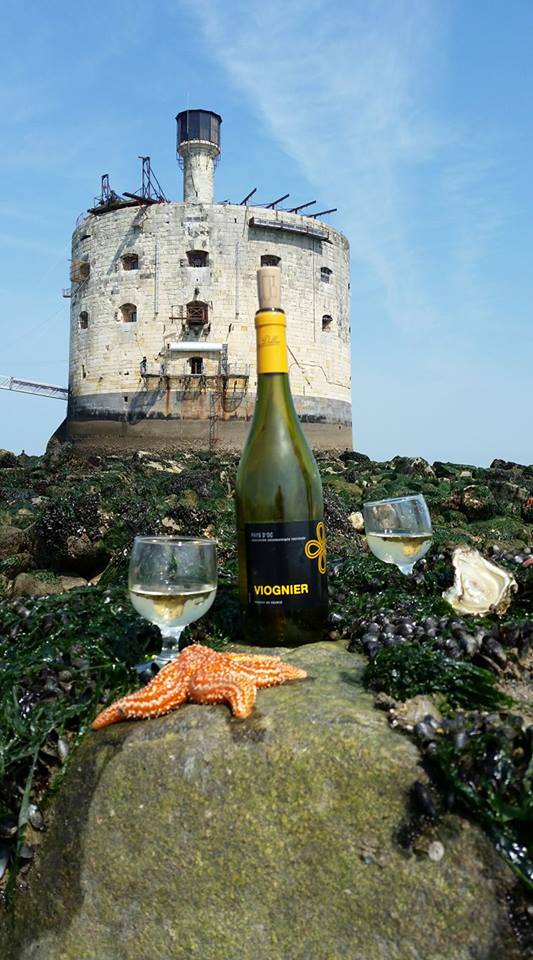 RochefortOcean's tweet photo. 📷Quand le #FortBoyard devient #theplacetobe, on aurait tord de s'en priver 🙃 : #aperotime 🍾#flyjet à #RochefortOcean #Iledaix #CharenteMaritime #NouvelleAquitaine  pour ce #JeudiPhoto #beautiful #fun #photography #sudouest ©S.Roquin https://t.co/y0m2IrP3Na