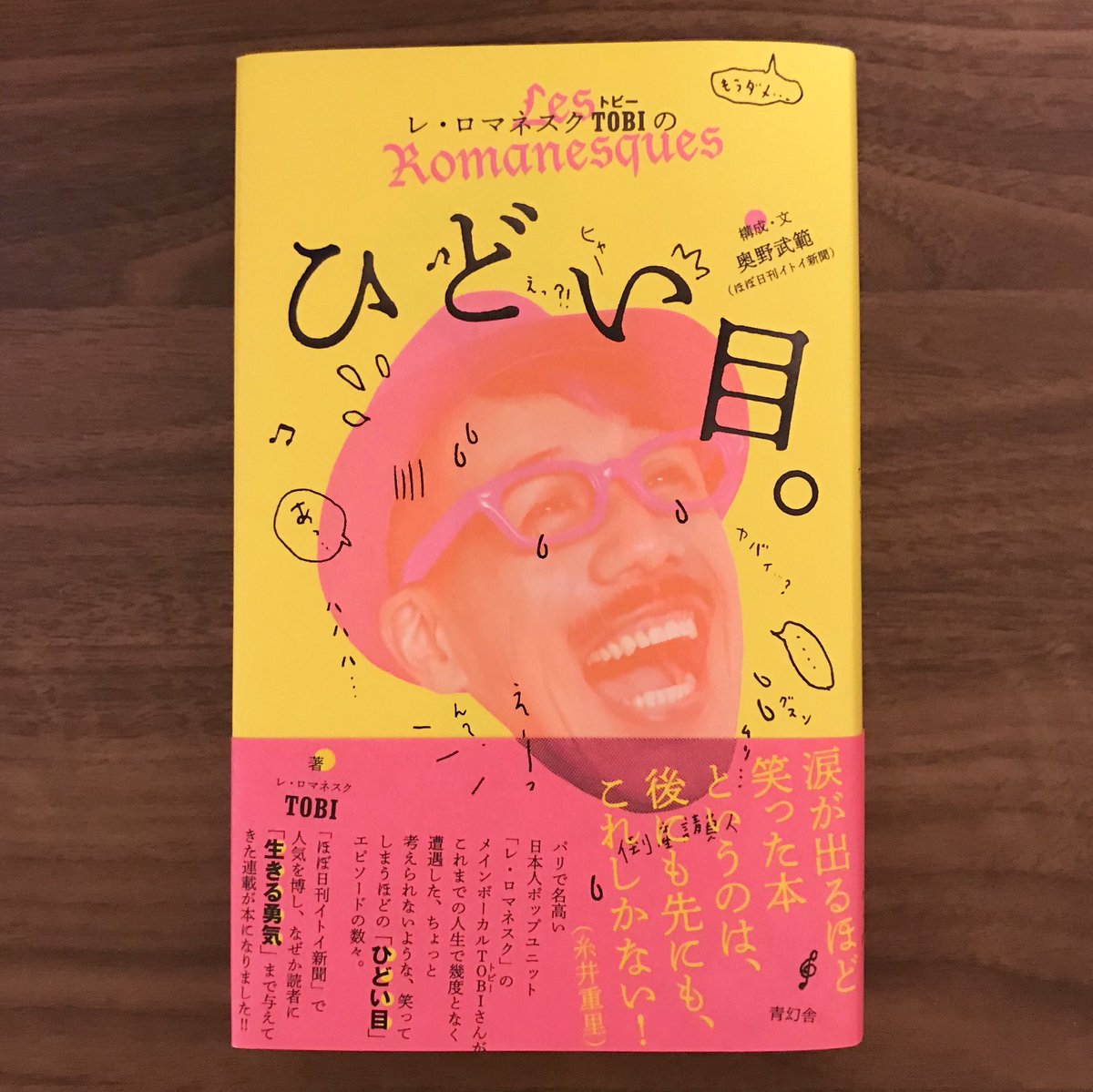 「レ・ロマネスクTOBIのひどい目。」(青幻舎)カバーや中のイラストを担当しました。いっぱい描きました。デザインはtentoの漆原悠一さんです。ひどい目たくさんだけど、とっても元気になる本です。ぜひ。 