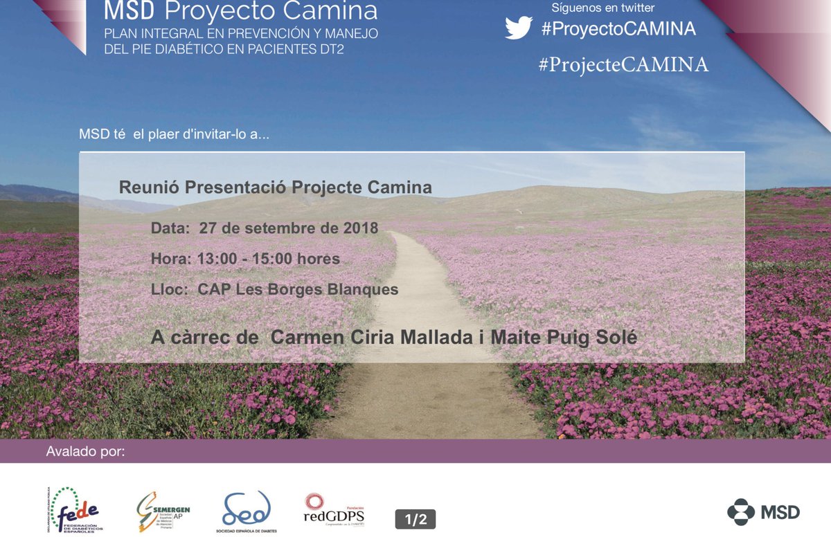 SantiMinguet's tweet photo. Avui #ProjecteCAMINA #proyectoCAMINA #peu diabètic @redGDPS a Les Borges Blanques amb @mamenciria @MaitePuigSole https://t.co/FSzhBaaadT