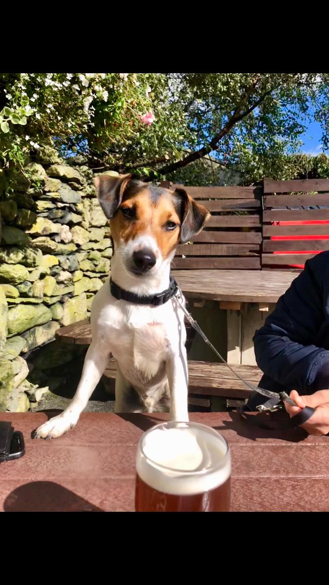 DaveJackRussell's tweet photo. @SergioMontana12 https://t.co/Tc24TVAnLL