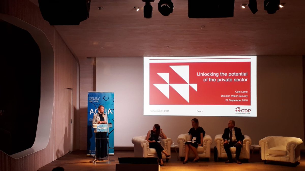 Cate Lamb (@Cate_Lamb) presenta @CDP y su trabajo con el sector privado en materia de la #sostenibilidad y la #SeguridadHídrica #AguaForo8