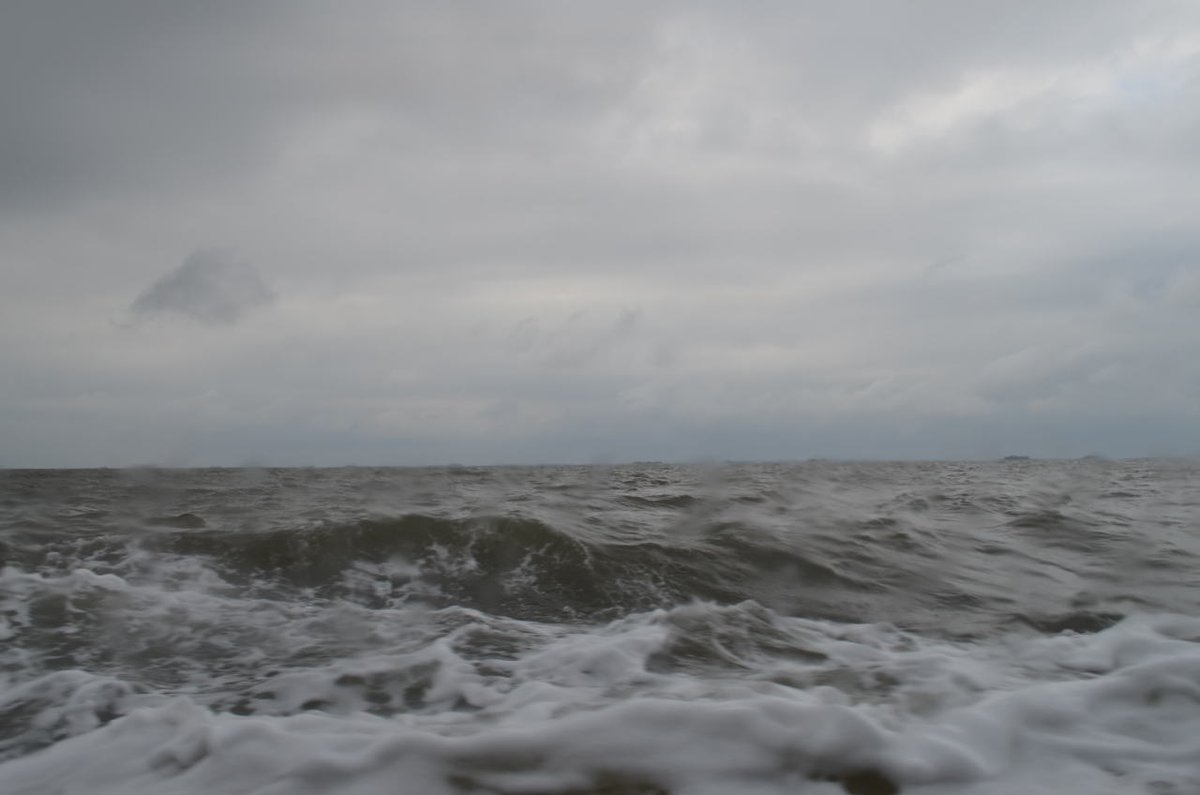 archillect's tweet image. 