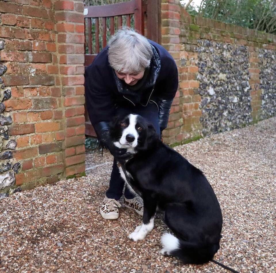 wooferendum's tweet photo. Caption competition.

Winner gets special treats &amp; pride of place at the front of the #Wooferendum march on 7 October.
#StopBrexit #Brexit #Brexitparalysis #TheresaMay #BrexitShambles https://t.co/QnJnmzJtno