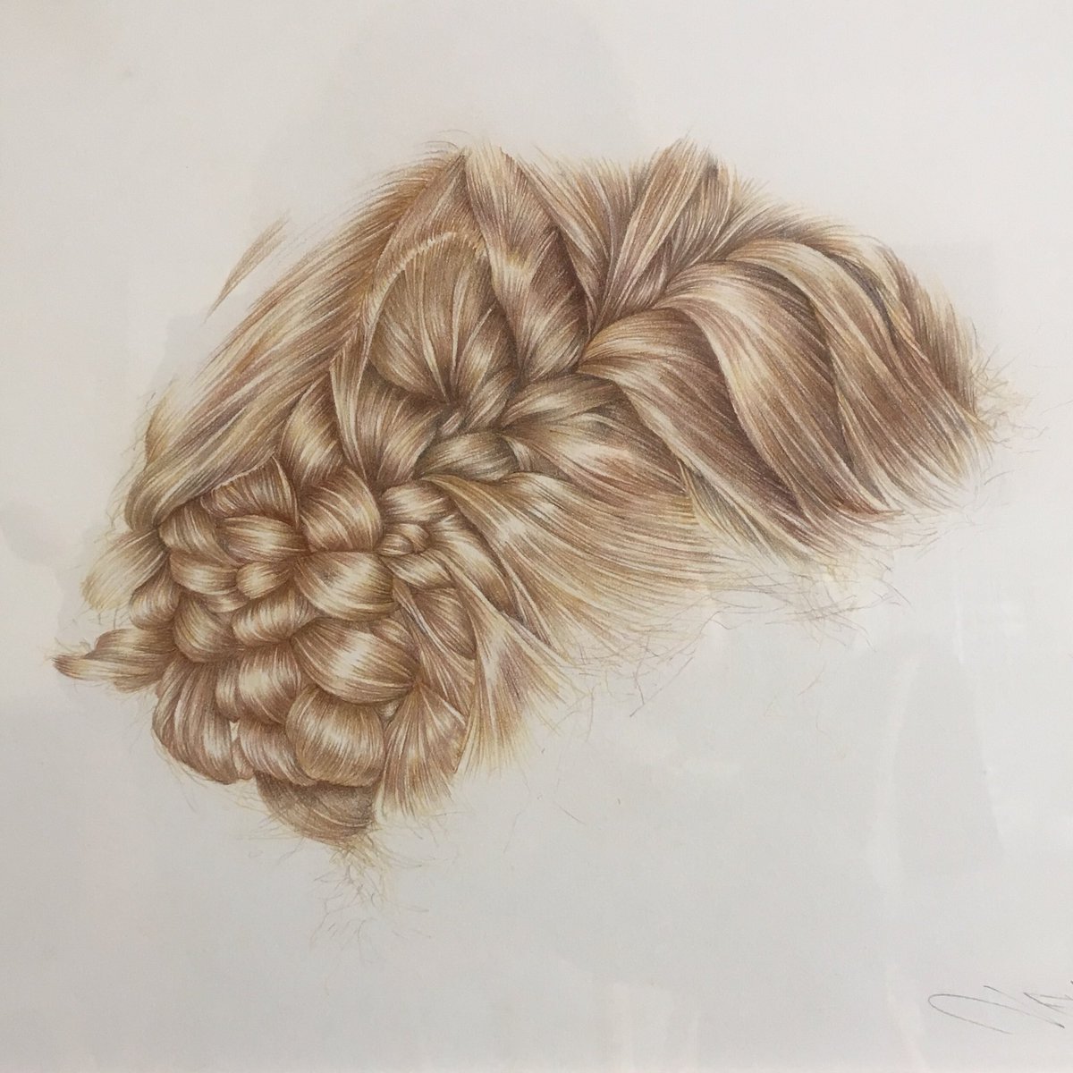 JillIliffe's tweet photo. Showing this drawing of plaited hair @MenierGallery Southwark with @SGFADrawing from Monday. DRAW18. Proud to be a member! #drawingoftheday https://t.co/tiLOZeSqmm