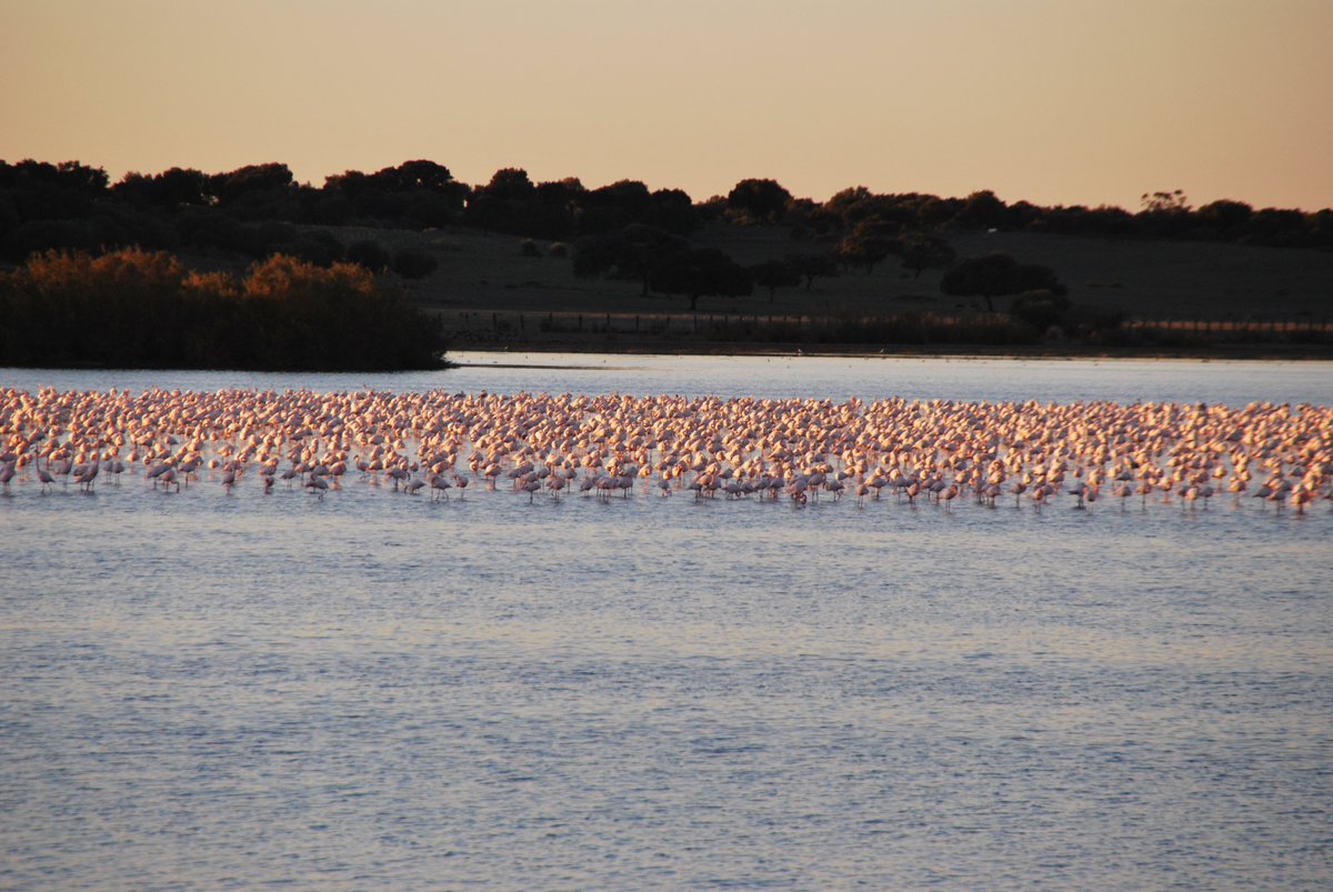 En HEINEKEN elaboramos grandes cervezas cuidando el impacto que tenemos sobre el planeta. Abrimos hilo para contaros cómo hemos reducido nuestro consumo de agua👇 No te pierdas nuestro Informe de Sostenibilidad: bit.ly/2xE72SM  #BrindandoUnMundoMejor