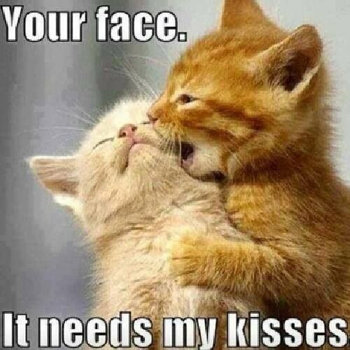 DatingCouncil's tweet photo. We all need some Tender, Love and Care!

#onlinedating #relationship #love #dating #sexdating https://t.co/vtUhuWAMi7