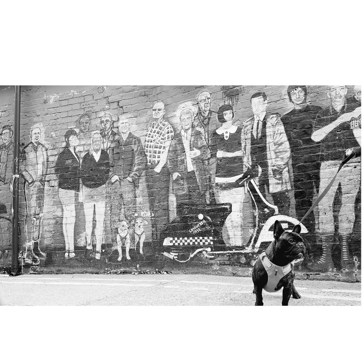 warrphotography's tweet image. #samwarrphotography #moddog #margate