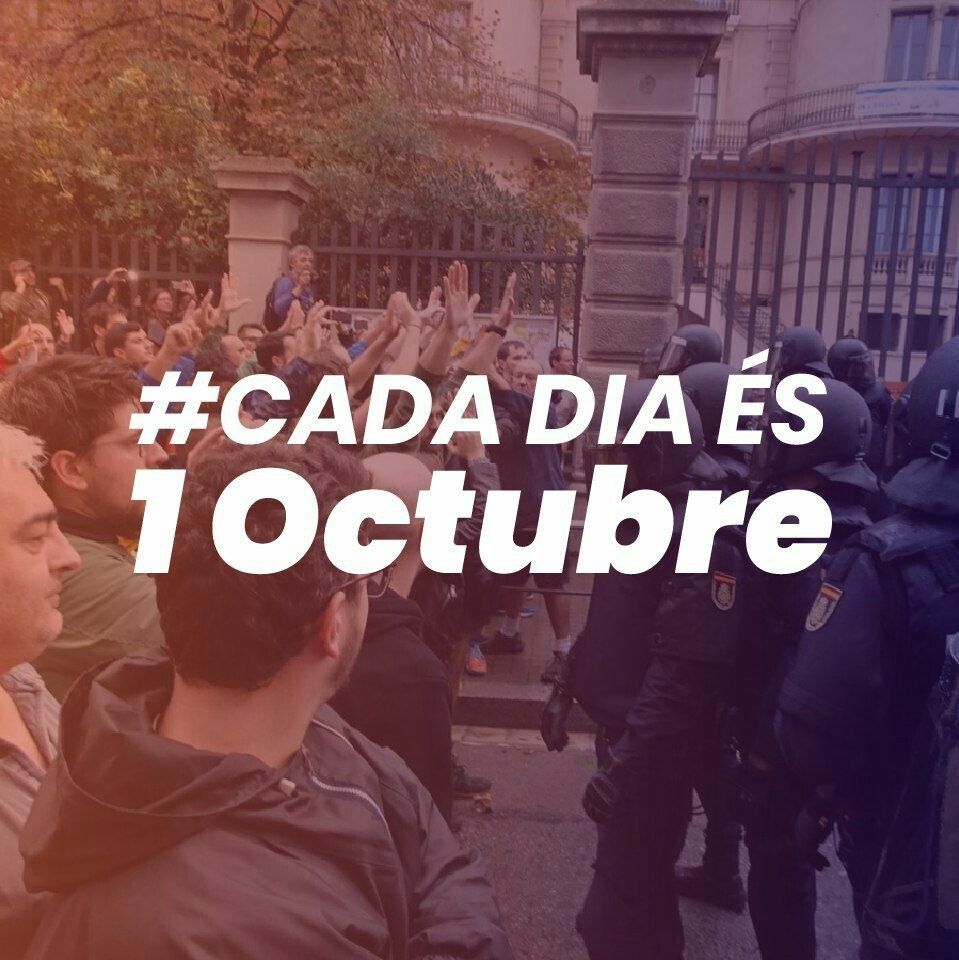 rabbit974's tweet image. 