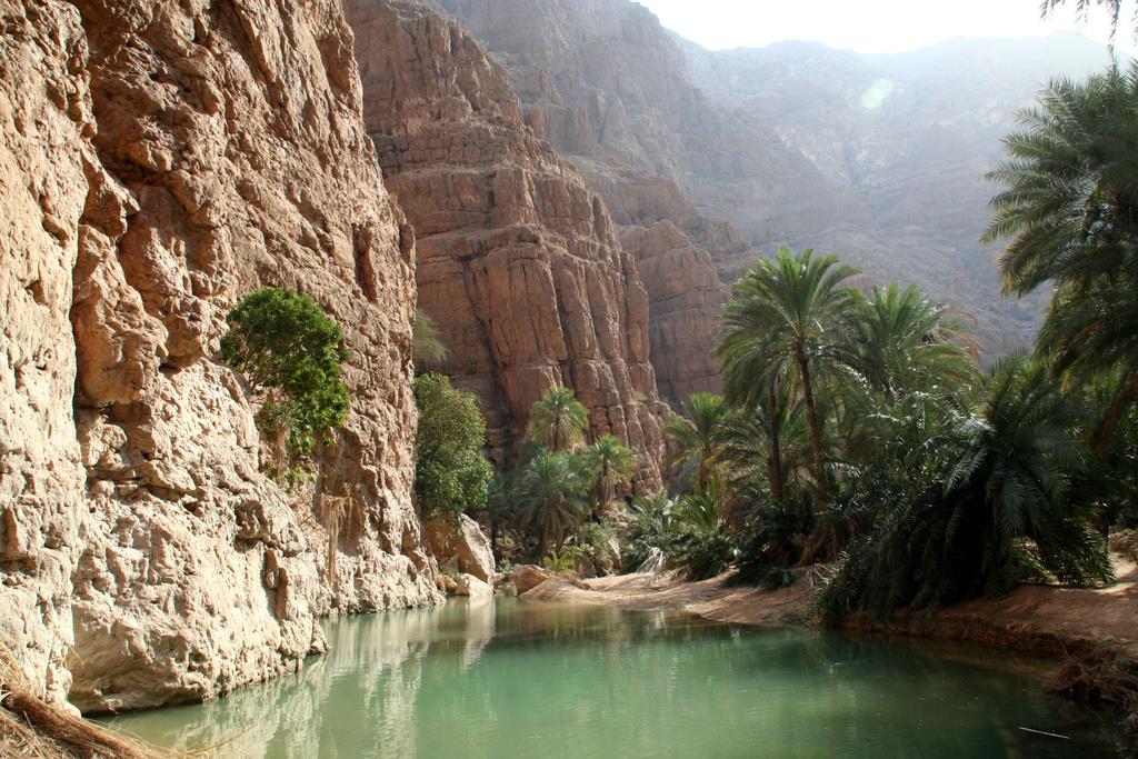 #JeudiPhoto Un peu de fraîcheur au milieu du désert d'#Oman  ! 😍
#worldturismday #journeemondialedutourisme