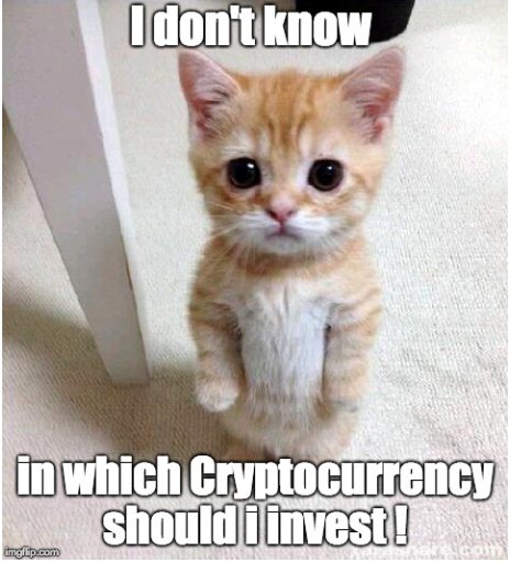 Cryptoz.ai tweet media