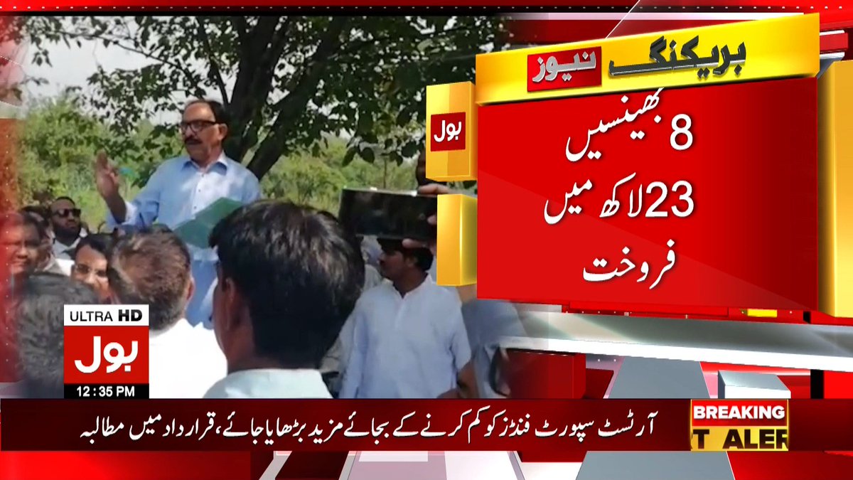 BOLNETWORK's tweet photo. حکومت کی کفایت شعاری مہم
گاڑیوں اور ہیلی کاپٹرز کے بعد بھینسوں کی نیلامی مکمل
#Auction #PMAusterityDrive #BOLNews https://t.co/fOnhjeoBSg