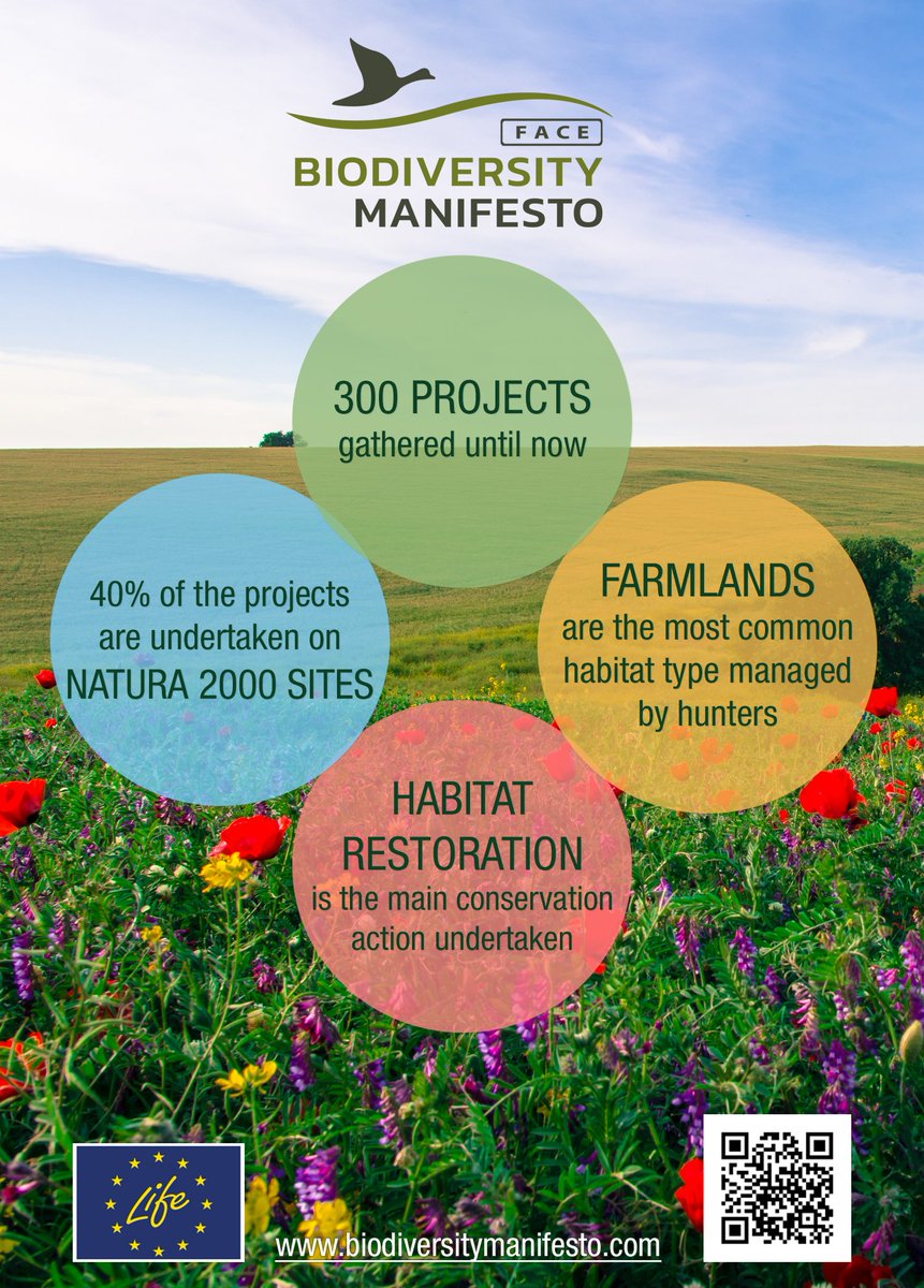 FACEforHunters's tweet photo. Have a look at the Biodiversity Manifesto public report that shows #hunters' commitments to biodiversity #conservation. For more details, consult the full report of the #BiodiversityManifesto on https://t.co/67WcgRJ5ce
#HuntersForConservation https://t.co/DQPaUBlvjD