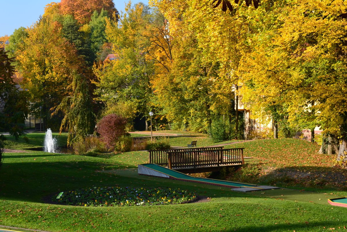 Ville de Niederbronn-les-Bains tweet media