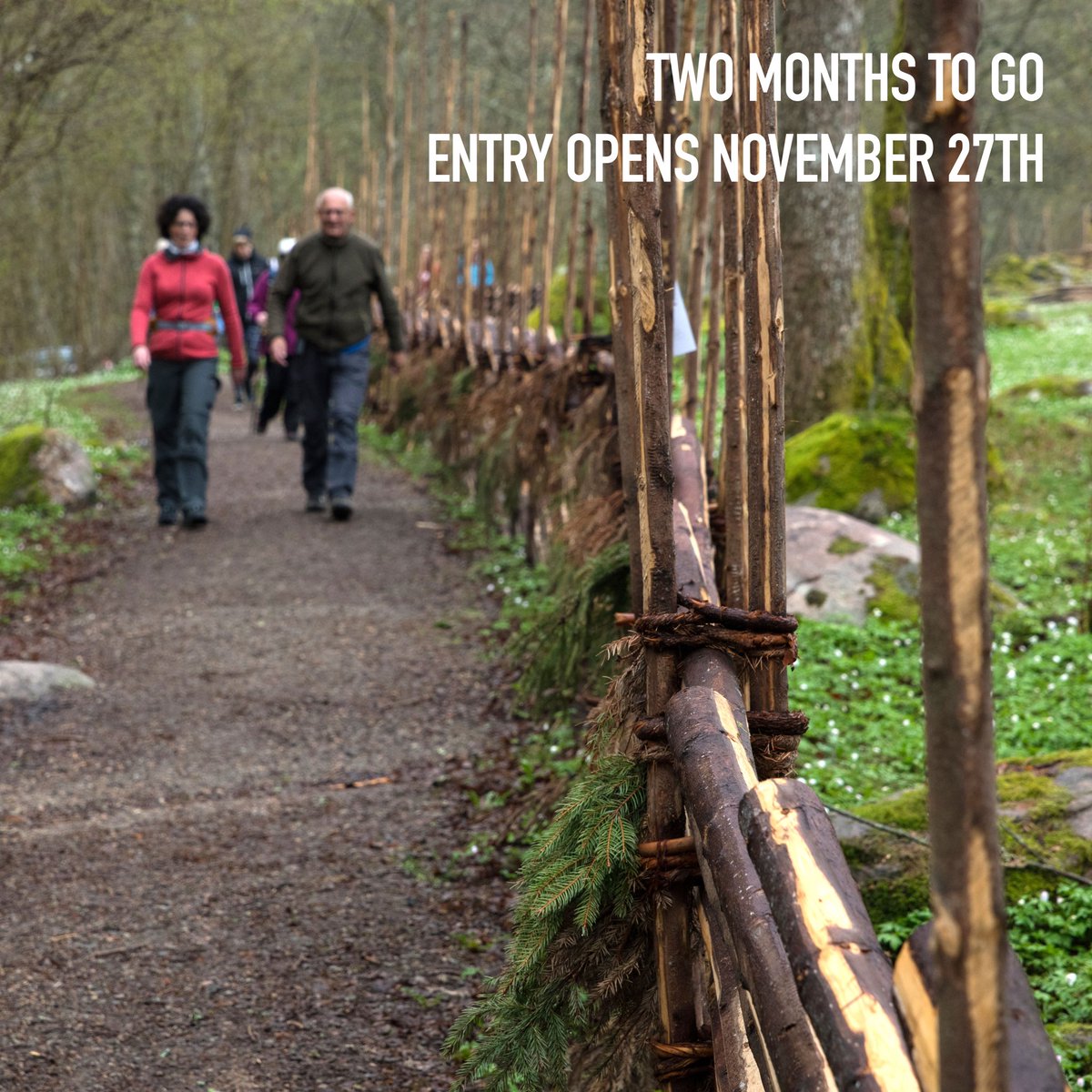 Linnémarschen tweet media