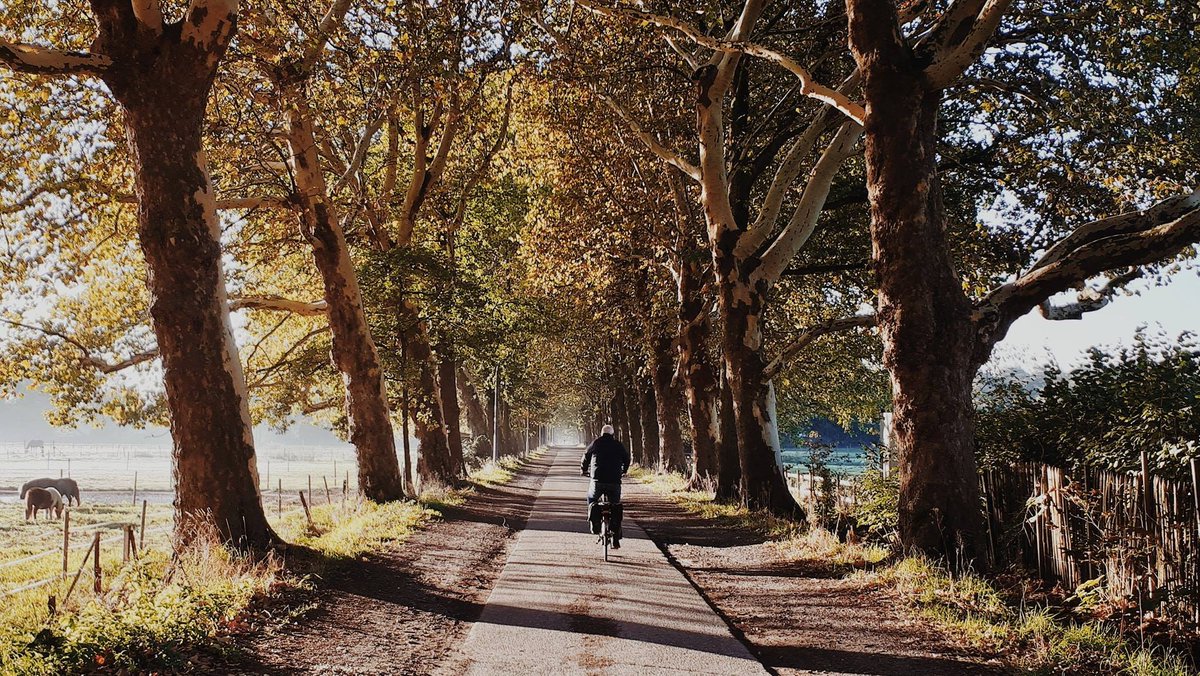 DistrictWilrijk's tweet photo. Is het vandaag de laatste zomerse dag ? Geniet er alvast van! #Wilrijk  #IndianSummer #Klaverblad #wandelen #fietsen #Wilstagram #Antwerpen https://t.co/iKI9nGKzP5