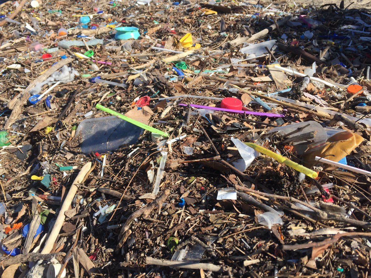 TrashyScience's tweet photo. If you ever needed a reason to try to be more sustainable, check out these photos Trashy's very own @__Leisha_ took at a beach in Sydney just last year 🙀 #PlasticPollution #RefuseSingleUse https://t.co/8Jocgp3J7B