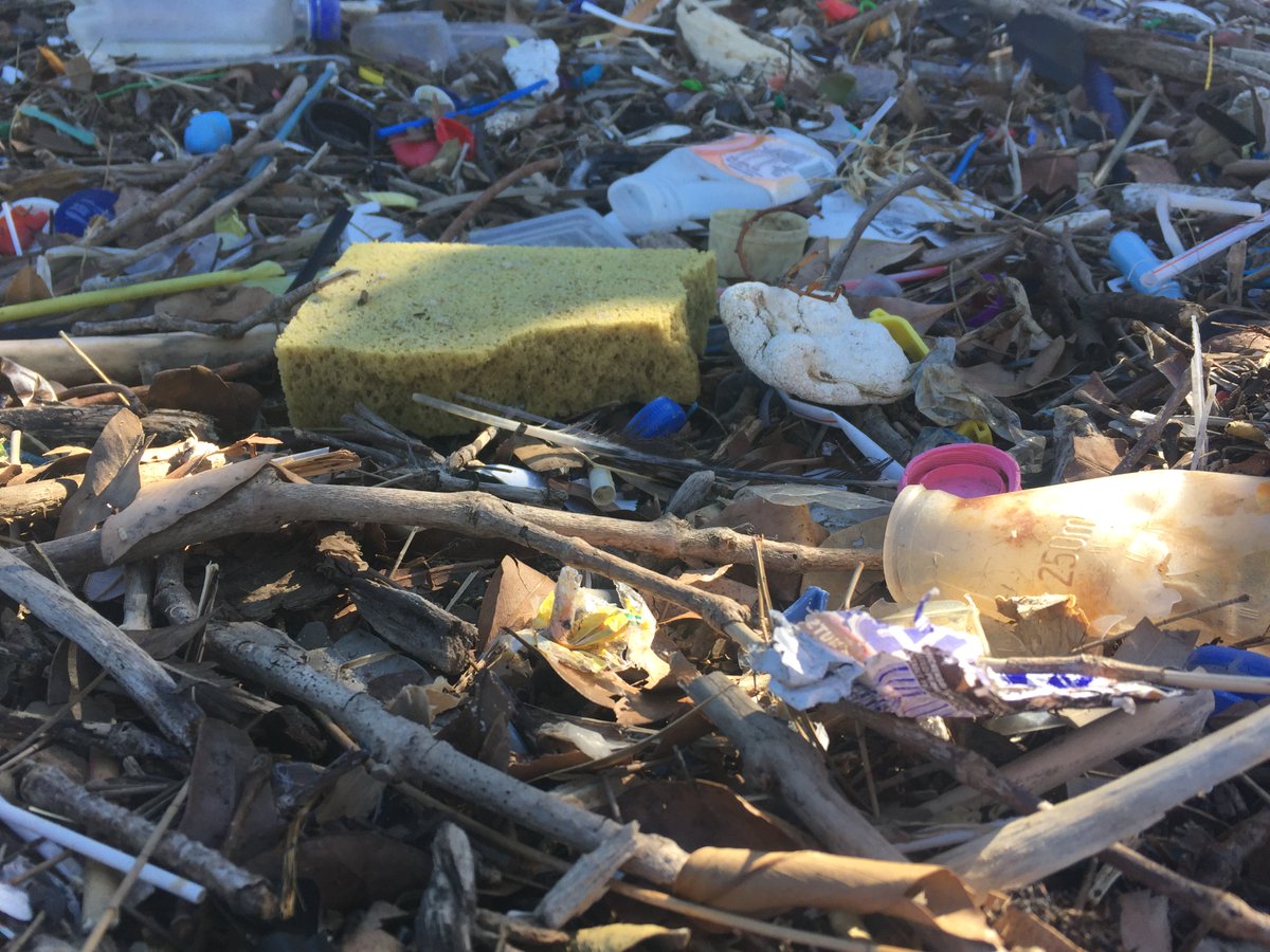 TrashyScience's tweet photo. If you ever needed a reason to try to be more sustainable, check out these photos Trashy's very own @__Leisha_ took at a beach in Sydney just last year 🙀 #PlasticPollution #RefuseSingleUse https://t.co/8Jocgp3J7B