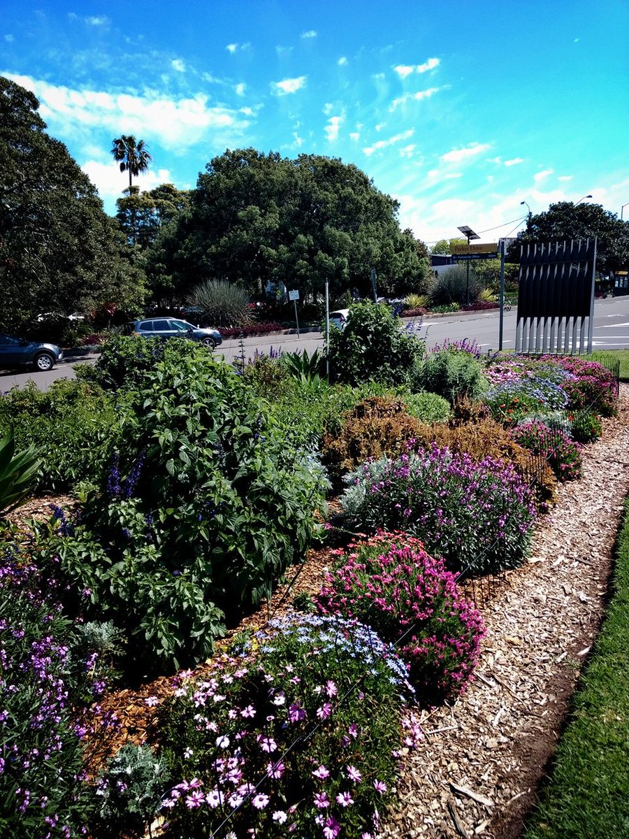 Mad_ab3's tweet photo. There is always a place for plants. Even a citylife amoungst the urban rat race you will find yourself stumbling upon inspiration places🌿🌱 #urbanhabitat #pollination #natureinourbackyard #urbangreening https://t.co/eF4E96W0oz