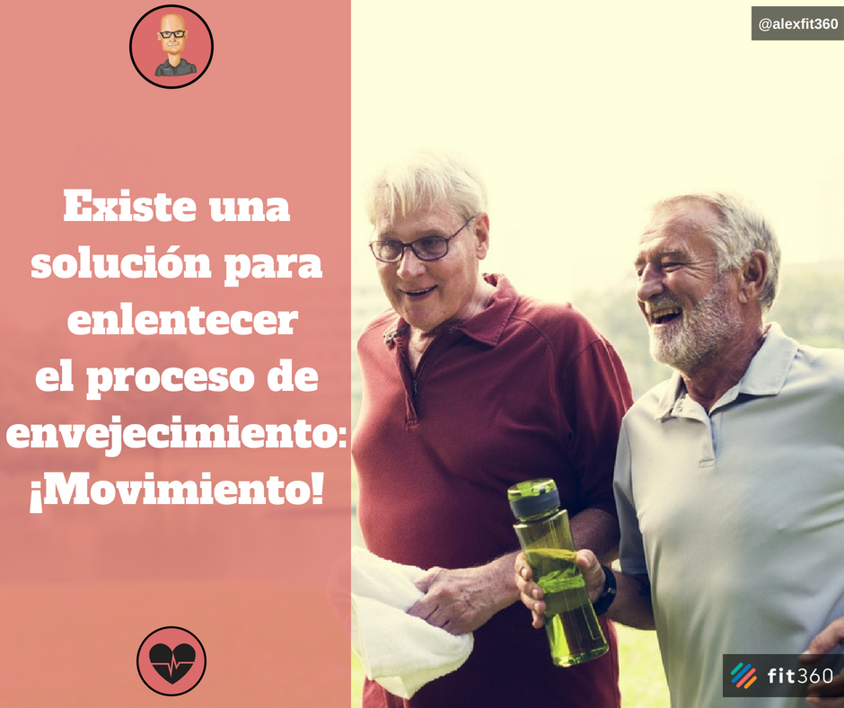AlexFIT360's tweet photo. El proceso de envejecimiento y la disminución o pérdida de la mayor parte de las capacidades físicas y funcionales, no lo es tanto por el paso del tiempo, si no por la falta de actividad física y ejercicio.
¡Muévete!
#fit360 #alexcoach #entrenamiento #salud #fitness https://t.co/mOT9XfPbyf