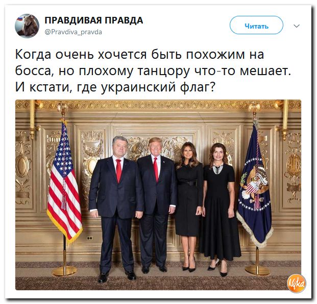https://pbs.twimg.com/media/DoFpDFXWsAAchM7.jpg:large