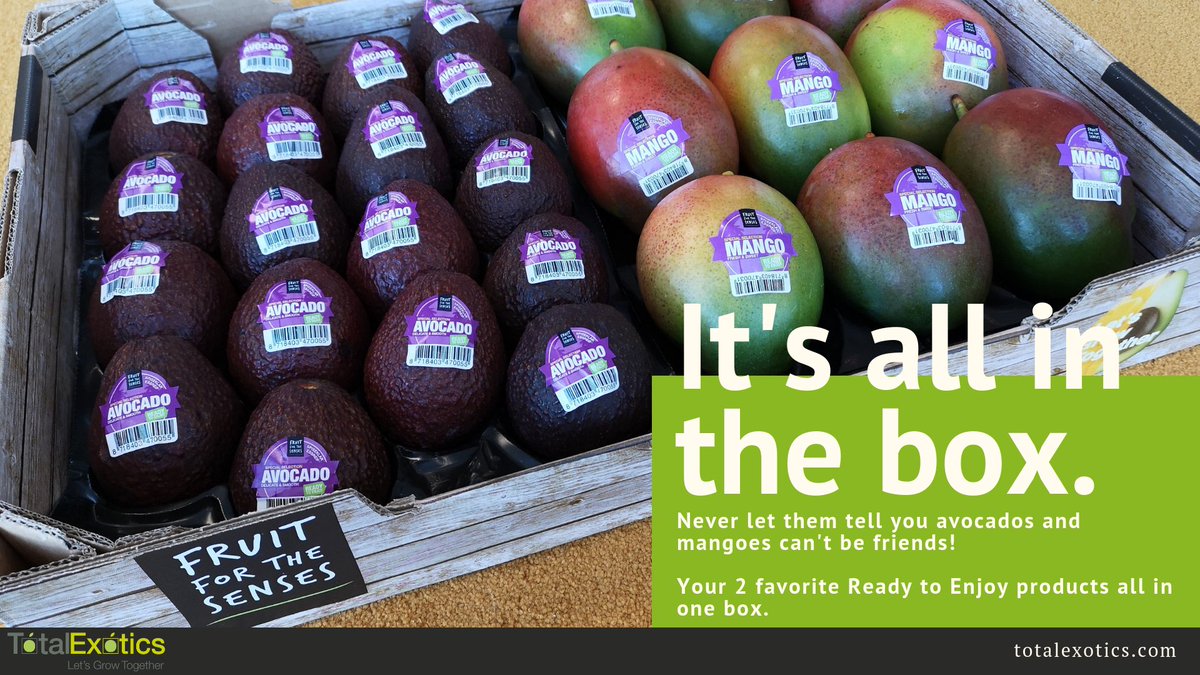 From today on not only sold separately, but available together! 
Our ripened mangoes and avocadoes as friends together in one box. 

Easy and preferable in every size you need. 

Fruit for the Senses. 
#freshproduce #quality  #fruit #mango #avocado #fruitforthesenses #agf #retail