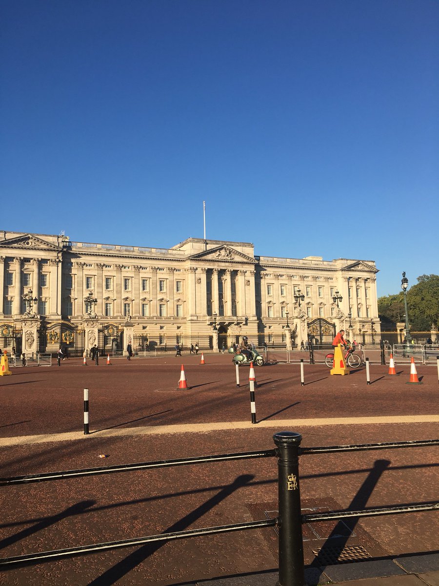 Alison Dillon tweet media