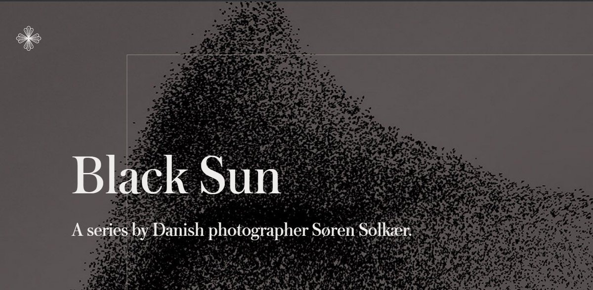 AdaRevolution's tweet image. Flat designs are back! 

Create a beautiful website using a flat design. It&apos;s a trend after all :)

#Webdesign #Website #Bournemouth 

example from sageculture.com